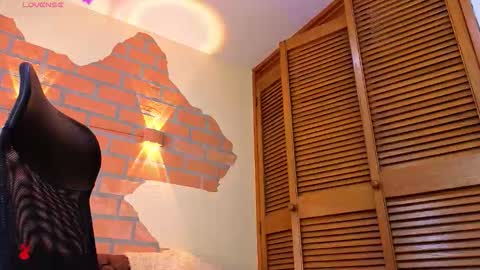 D Y L A N online show from 12.21.25