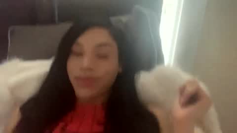 Snapshot of dynasty313 chatting on 02.04.25 Dynasty online show from 02.04.25