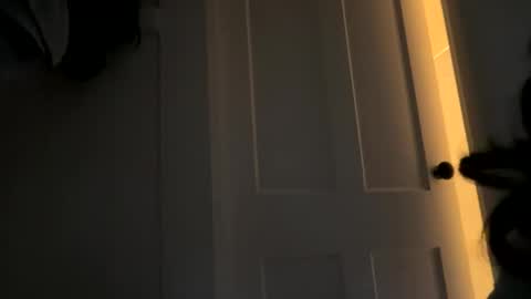 Snapshot of dynasty313 chatting on 10.14.25 Dynasty online show from 10.14.25