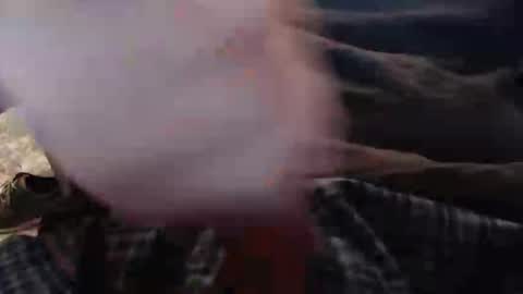 eat_a_peach2 online show from 11.12.25