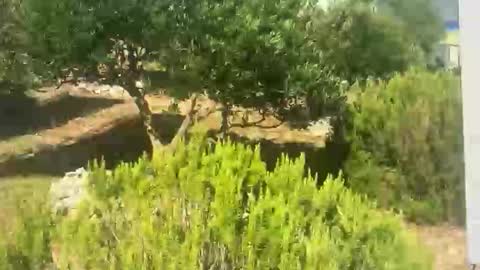 ebnk15 online show from 09.30.25