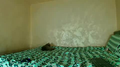 Nomyx  OF check online show from 11.14.25