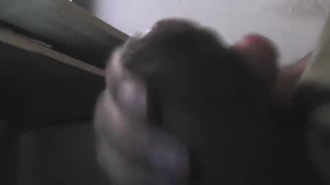 Snapshot of eddie69117 chatting on 11.05.25 EddiesCock69 online show from 11.05.25