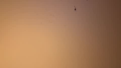 edgingandgooning online show from 12.10.24