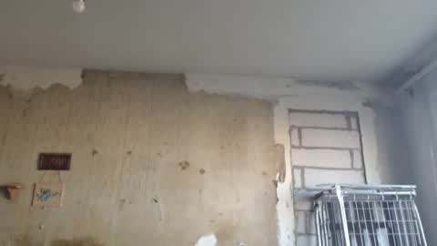 Snapshot of edifox chatting on 02.12.25 Alexander online show from 02.12.25