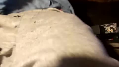 Snapshot of edmore1215 chatting on 12.18.24 edmore1215 online show from 12.18.24