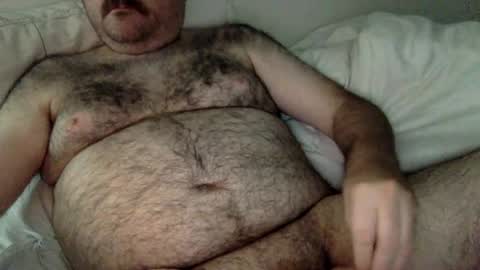 Snapshot of elago chatting on 06.22.26 elabear online show from 06.22.26