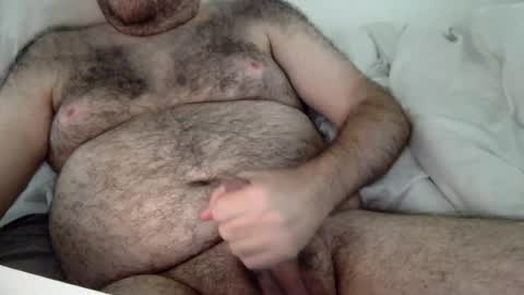 Snapshot of elago chatting on 08.02.26 elabear online show from 08.02.26