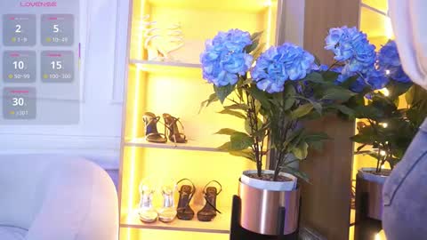 Elasummeer online show from 11.17.25