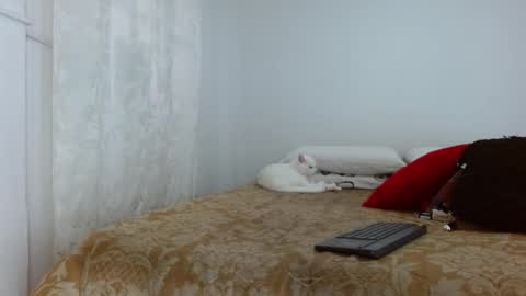 elektra online show from 10.30.25