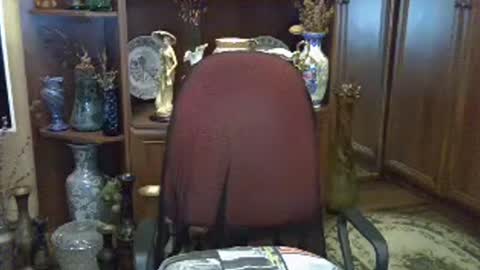 Snapshot of elenazed chatting on 07.28.26 ElenaZed online show from 07.28.26