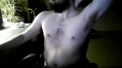 Snapshot of elephantfox chatting on 04.04.26 fox online show from 04.04.26