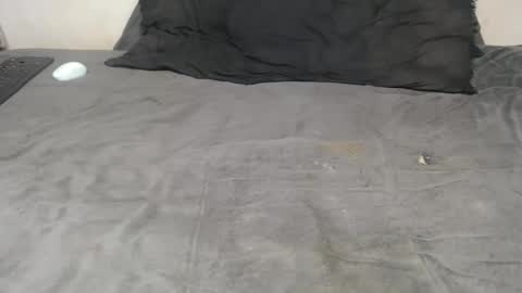 elgsslt online show from 11.18.25