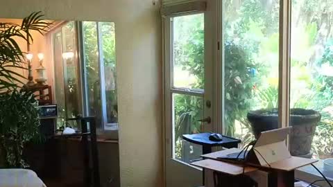 eliberator online show from 06.13.26