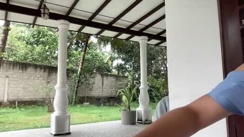   online show from 01.28.25