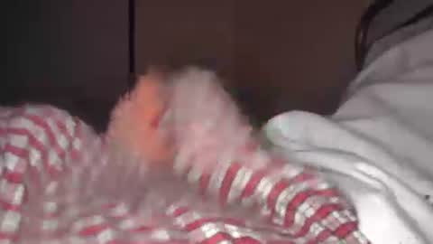 eliexavier123456789 online show from 04.21.26