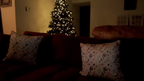 Elinah online show from 12.02.25