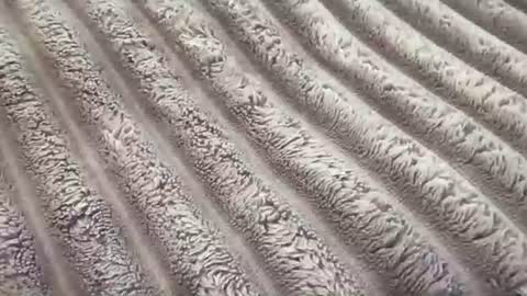 Snapshot of eliterd chatting on 11.29.25 eliterd online show from 11.29.25