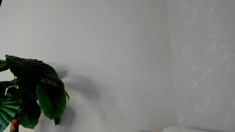 Snapshot of eliza_sanz chatting on 02.22.25 My name is ElizaPVT is open online show from 02.22.25