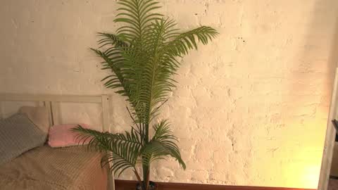 Snapshot of elliefrost chatting on 03.11.25 elliefrost online show from 03.11.25