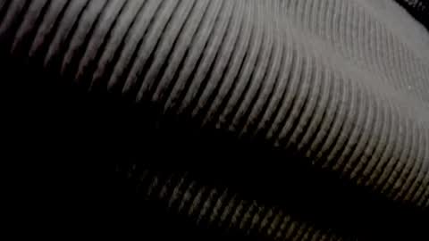 Elly online show from 04.27.26