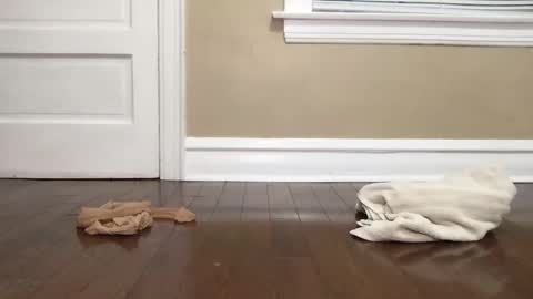 Snapshot of eltruerey chatting on 10.15.25 Bi Bro online show from 10.15.25