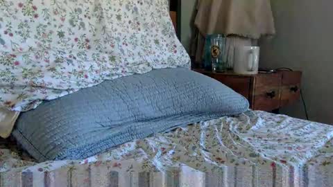 elviscash online show from 04.09.26