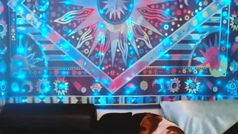 Snapshot of ember_starleena chatting on 02.24.25 Ember Starleena online show from 02.24.25