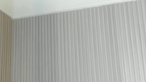 emelie_89 online show from 04.21.26