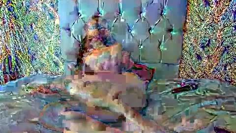 Snapshot of emigomez_ chatting on 02.27.25 Emilia Gomez online show from 02.27.25