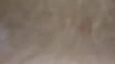 Snapshot of emilmirror chatting on 02.11.25 emilmirror online show from 02.11.25