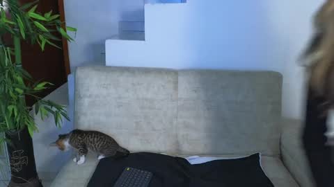 Snapshot of emma_blue_ chatting on 10.28.25 Emma Blue modelo independiente online show from 10.28.25