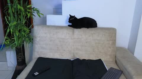 Emma Blue  modelo independiente online show from 03.26.26