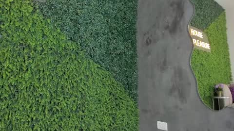 Emmiily online show from 01.31.25