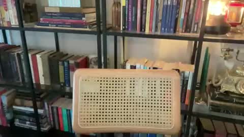 FOLLOW  JOIN MY CULT online show from 10.29.25