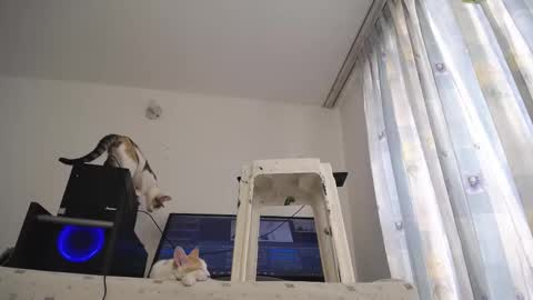 Eolicasextwo online show from 03.10.25