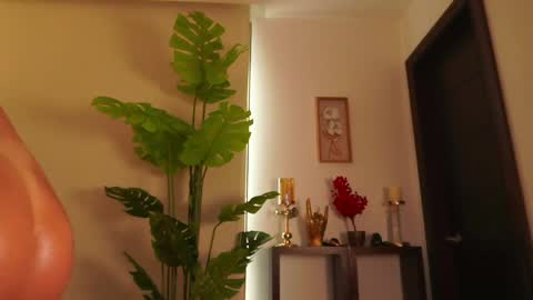 Venus Skye online show from 06.05.26