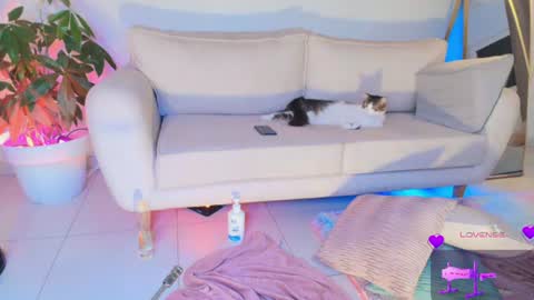 Snapshot of erotik_lady chatting on 06.29.26 TINY online show from 06.29.26