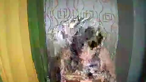 Snapshot of ervanamorge chatting on 02.11.26 Ervana online show from 02.11.26