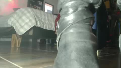 Snapshot of eskelaswd chatting on 10.06.25 Eskela911 online show from 10.06.25