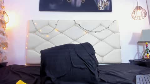 Snapshot of ethan_helmut chatting on 01.13.25 ethan helmut online show from 01.13.25