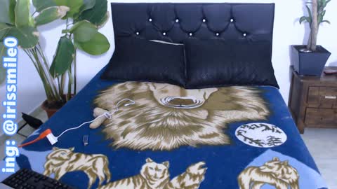 Iris Smile  independent model online show from 12.20.24