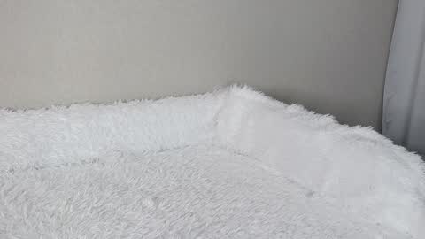 Snapshot of eva_varnerr chatting on 02.03.25 eva varnerr online show from 02.03.25