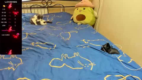 Eva online show from 11.02.25