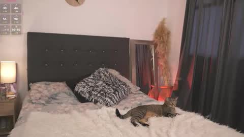 Snapshot of evajacksss_ chatting on 02.12.26 evajacksss_ online show from 02.12.26