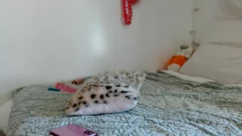 eveexxclusive online show from 10.17.25