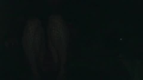 evermore8807 online show from 12.14.25