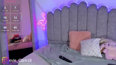 My name is Evie  nice to meet you  really get to know me better private is open  online show from 02.21.26