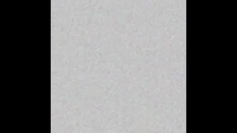 Kevin online show from 10.26.25