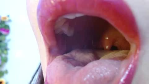 Snapshot of evolethmontenegros chatting on 12.15.24 Evoleth online show from 12.15.24